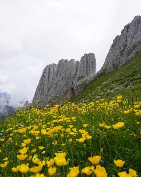 Alpstein