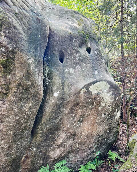 Fontainebleau